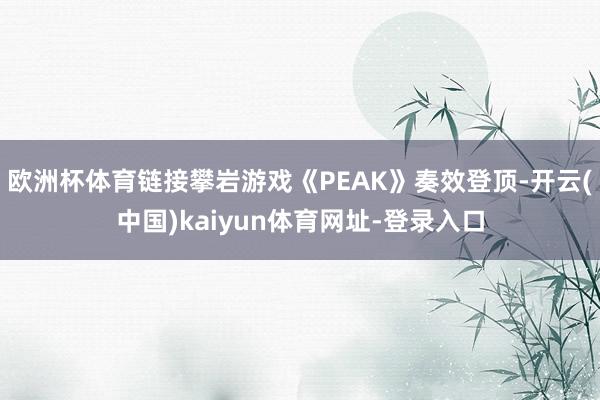 欧洲杯体育链接攀岩游戏《PEAK》奏效登顶-开云(中国)kaiyun体育网址-登录入口