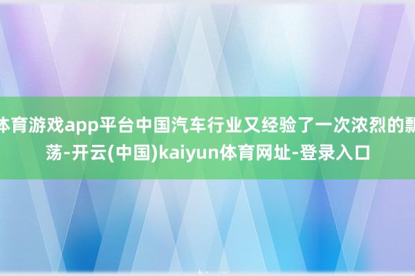 体育游戏app平台中国汽车行业又经验了一次浓烈的飘荡-开云(中国)kaiyun体育网址-登录入口