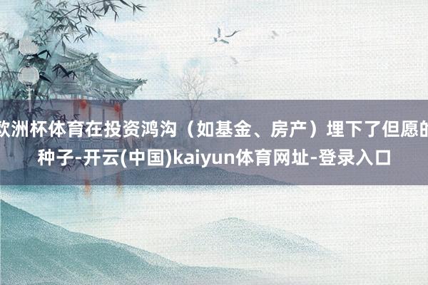 欧洲杯体育在投资鸿沟（如基金、房产）埋下了但愿的种子-开云(中国)kaiyun体育网址-登录入口
