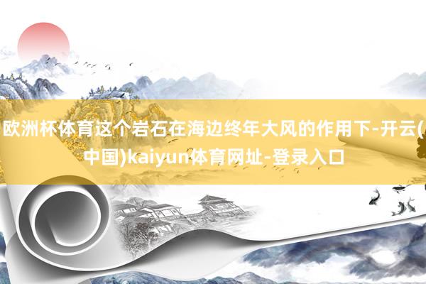 欧洲杯体育这个岩石在海边终年大风的作用下-开云(中国)kaiyun体育网址-登录入口
