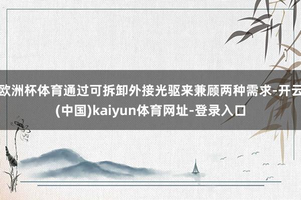 欧洲杯体育通过可拆卸外接光驱来兼顾两种需求-开云(中国)kaiyun体育网址-登录入口