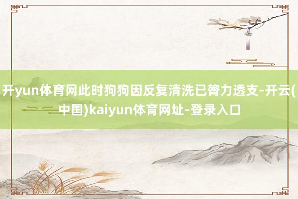 开yun体育网此时狗狗因反复清洗已膂力透支-开云(中国)kaiyun体育网址-登录入口