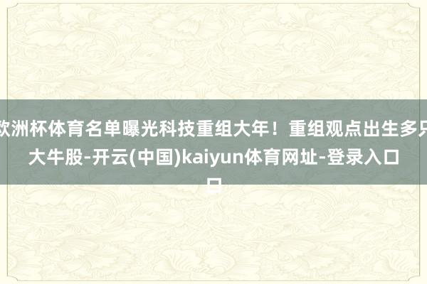 欧洲杯体育名单曝光科技重组大年！重组观点出生多只大牛股-开云(中国)kaiyun体育网址-登录入口