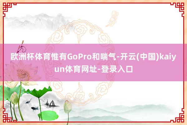 欧洲杯体育惟有GoPro和喘气-开云(中国)kaiyun体育网址-登录入口