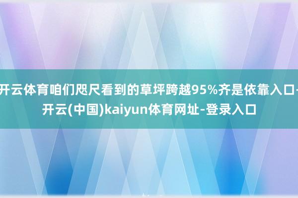 开云体育咱们咫尺看到的草坪跨越95%齐是依靠入口-开云(中国)kaiyun体育网址-登录入口