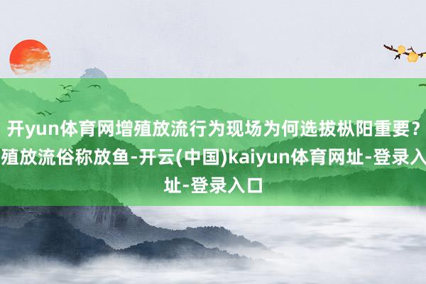 开yun体育网增殖放流行为现场为何选拔枞阳重要？增殖放流俗称放鱼-开云(中国)kaiyun体育网址-登录入口