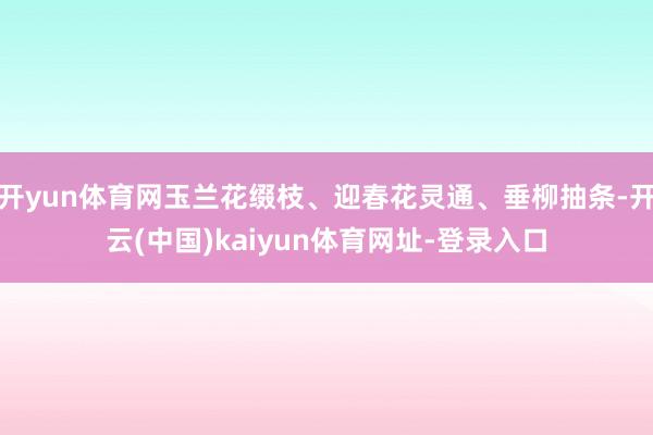开yun体育网玉兰花缀枝、迎春花灵通、垂柳抽条-开云(中国)kaiyun体育网址-登录入口