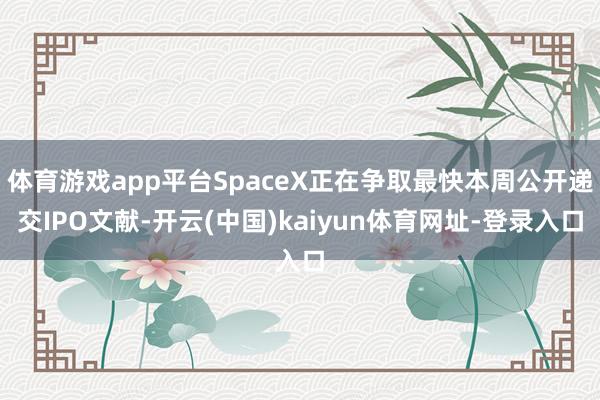 体育游戏app平台SpaceX正在争取最快本周公开递交IPO文献-开云(中国)kaiyun体育网址-登录入口