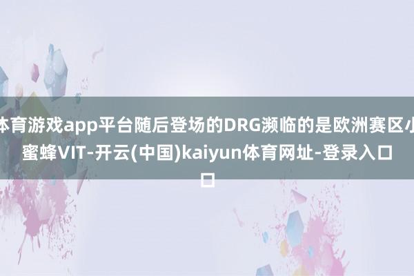 体育游戏app平台随后登场的DRG濒临的是欧洲赛区小蜜蜂VIT-开云(中国)kaiyun体育网址-登录入口