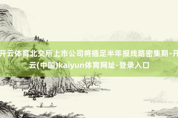 开云体育北交所上市公司将插足半年报线路密集期-开云(中国)kaiyun体育网址-登录入口