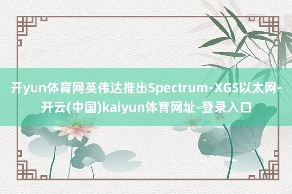 开yun体育网英伟达推出Spectrum-XGS以太网-开云(中国)kaiyun体育网址-登录入口