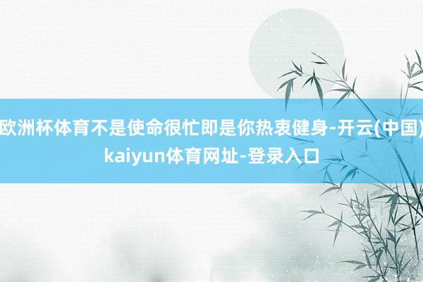 欧洲杯体育不是使命很忙即是你热衷健身-开云(中国)kaiyun体育网址-登录入口
