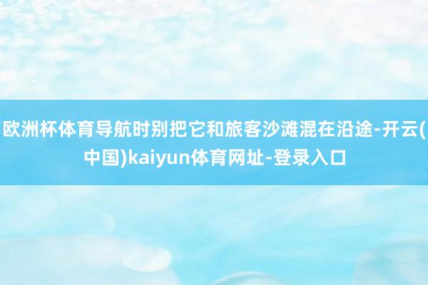 欧洲杯体育导航时别把它和旅客沙滩混在沿途-开云(中国)kaiyun体育网址-登录入口