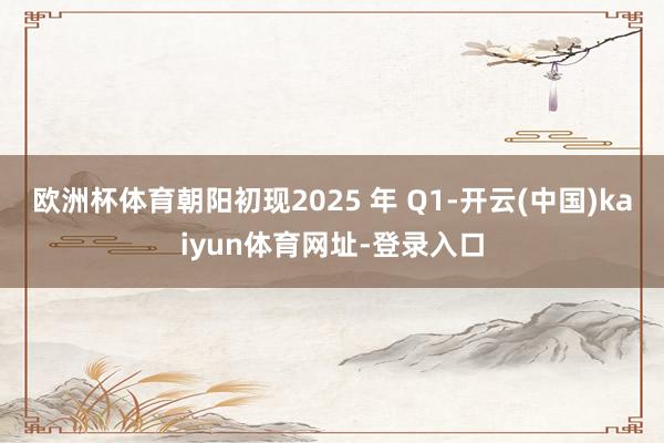 欧洲杯体育朝阳初现2025 年 Q1-开云(中国)kaiyun体育网址-登录入口