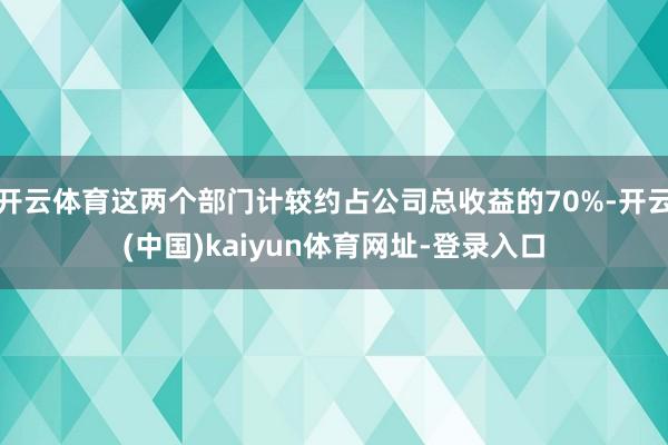 开云体育这两个部门计较约占公司总收益的70%-开云(中国)kaiyun体育网址-登录入口