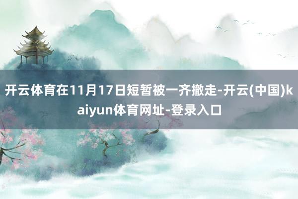 开云体育在11月17日短暂被一齐撤走-开云(中国)kaiyun体育网址-登录入口