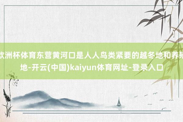 欧洲杯体育东营黄河口是人人鸟类紧要的越冬地和养殖地-开云(中国)kaiyun体育网址-登录入口